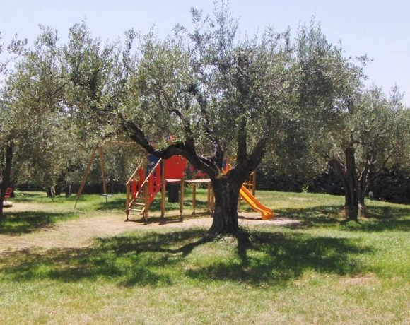 zobacz camping - zdjęcie 4