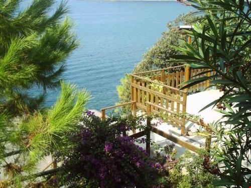 zobacz camping - zdjęcie 24