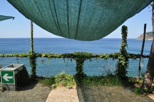 zobacz camping - zdjęcie 20