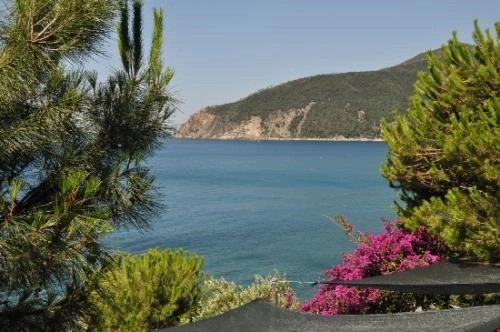 zobacz camping - zdjęcie 16