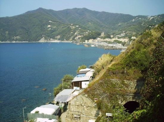 zobacz camping - zdjęcie 8