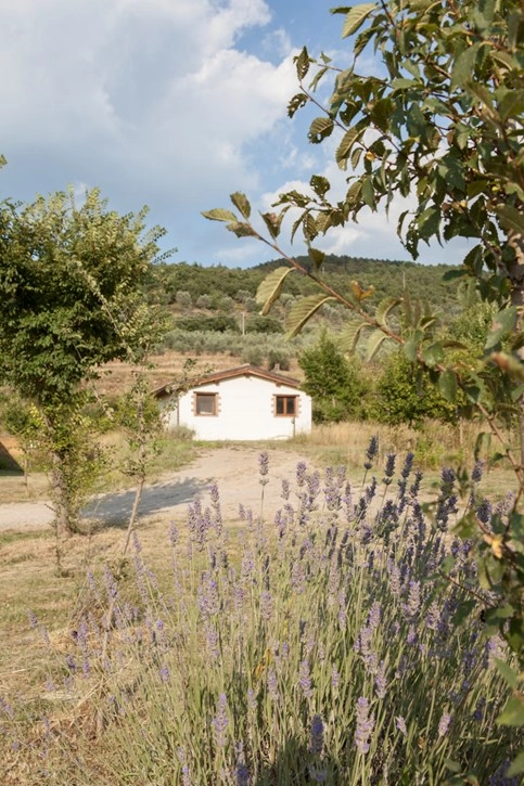 zobacz camping - zdjęcie 11