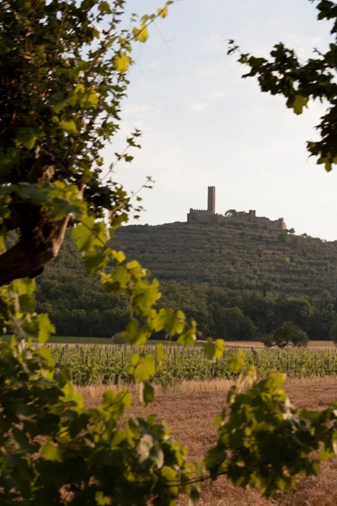 zobacz camping - zdjęcie 10