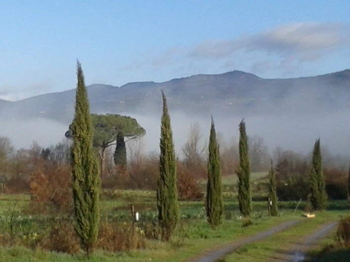 zobacz camping - zdjęcie 9