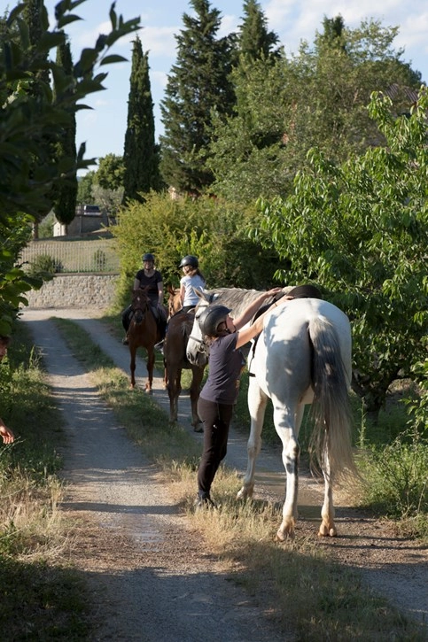 Camping Il Saregeto - zdjęcie 2