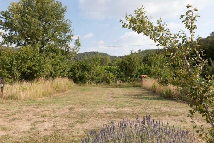 Camping Il Saregeto - zdjęcie 1