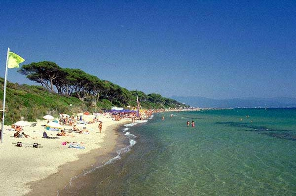 zobacz camping - zdjęcie 11