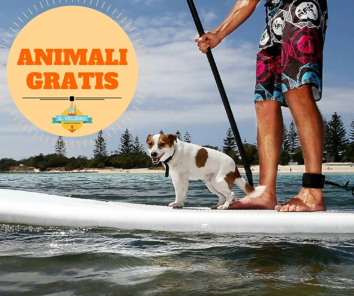 zobacz camping - zdjęcie 3