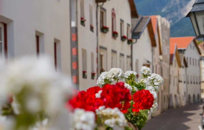 zobacz camping - zdjęcie 7