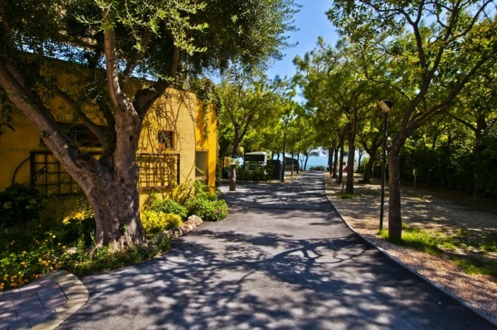 zobacz camping - zdjęcie 42