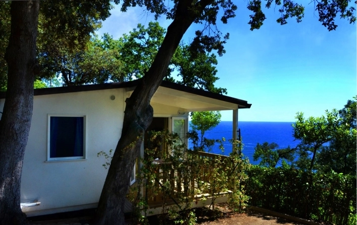 zobacz camping - zdjęcie 39