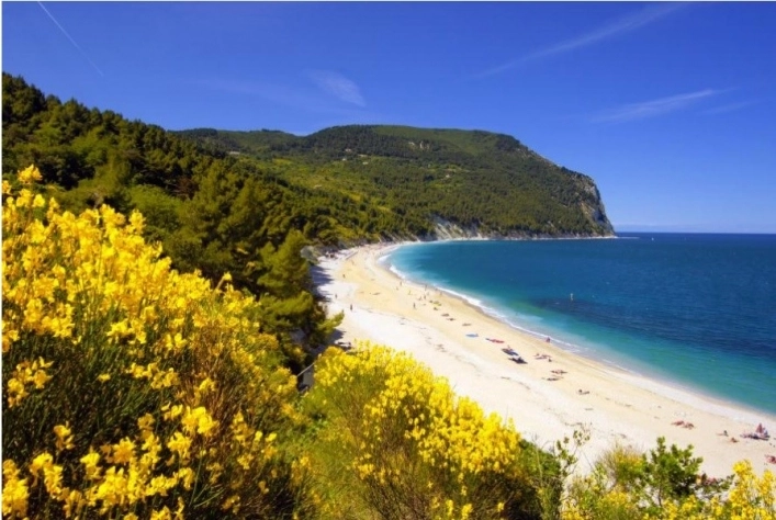 zobacz camping - zdjęcie 38