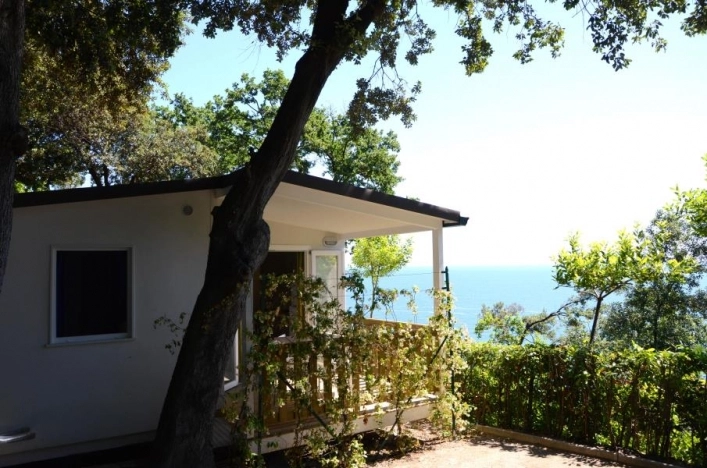 zobacz camping - zdjęcie 37