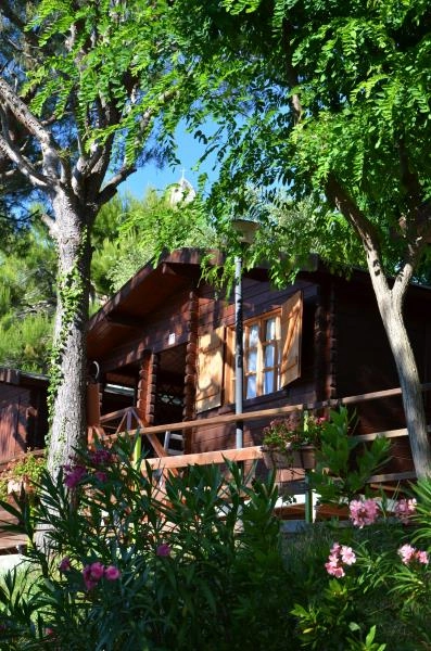 zobacz camping - zdjęcie 34