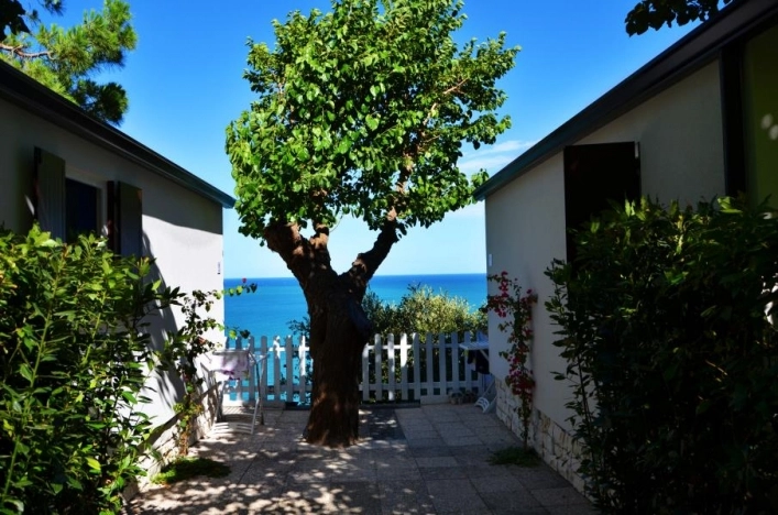 zobacz camping - zdjęcie 25