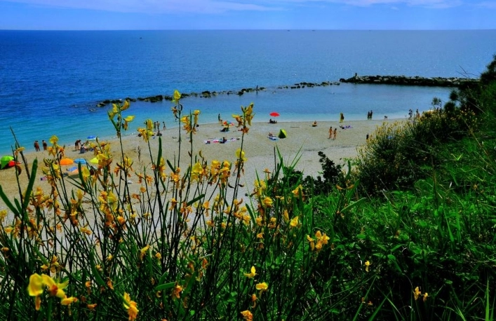 zobacz camping - zdjęcie 16