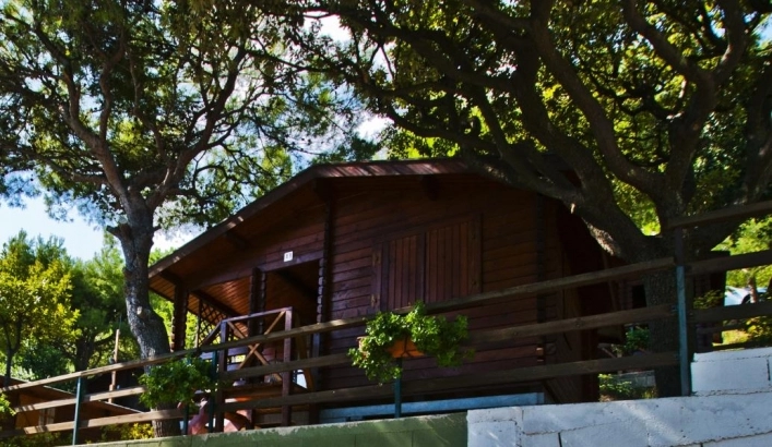 zobacz camping - zdjęcie 12