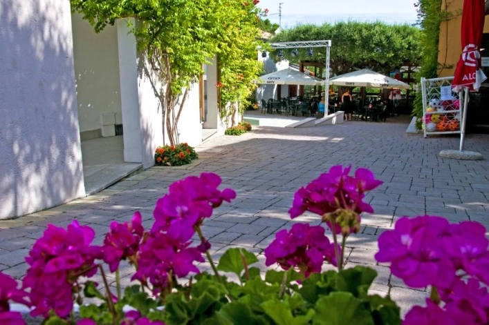 zobacz camping - zdjęcie 4