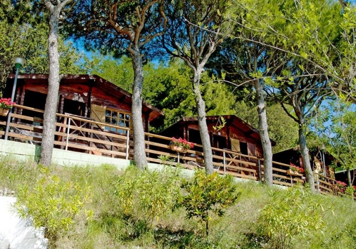 Camping Internazionale - zdjęcie 1