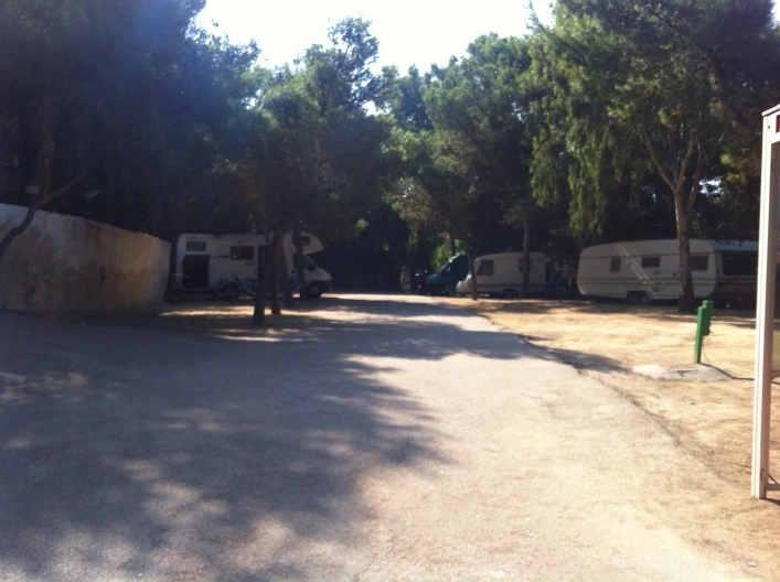 zobacz camping - zdjęcie 12