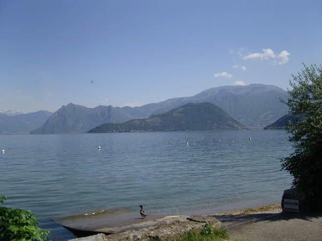 zobacz camping - zdjęcie 13