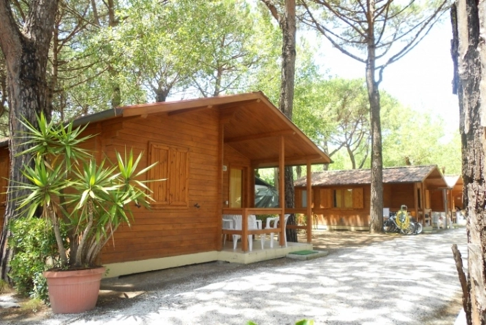 zobacz camping - zdjęcie 27