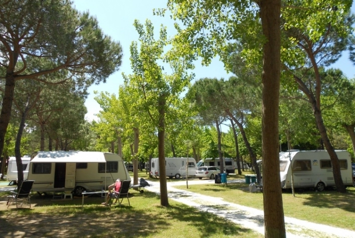 zobacz camping - zdjęcie 22