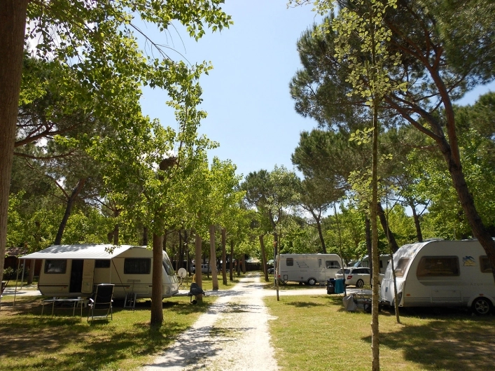 zobacz camping - zdjęcie 20