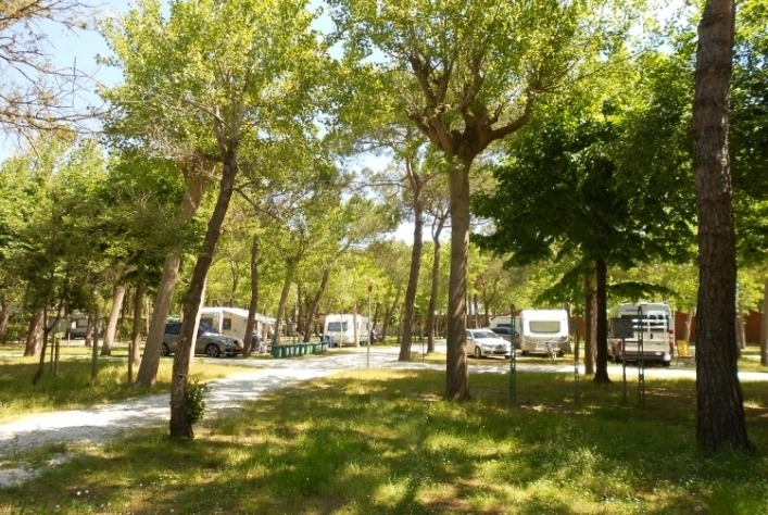zobacz camping - zdjęcie 18
