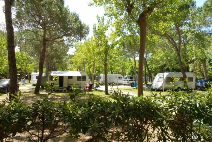 zobacz camping - zdjęcie 12