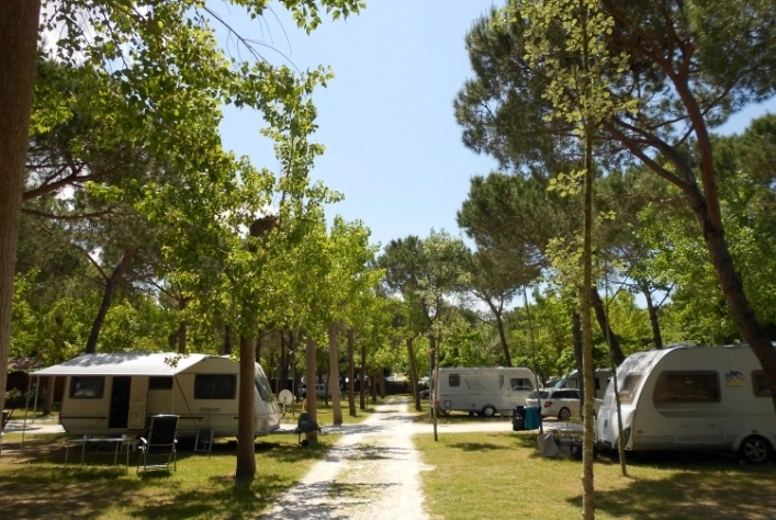 zobacz camping - zdjęcie 9