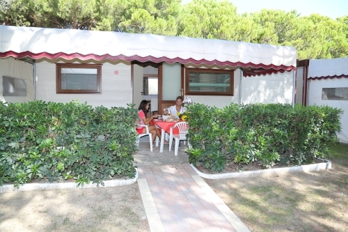 zobacz camping - zdjęcie 17