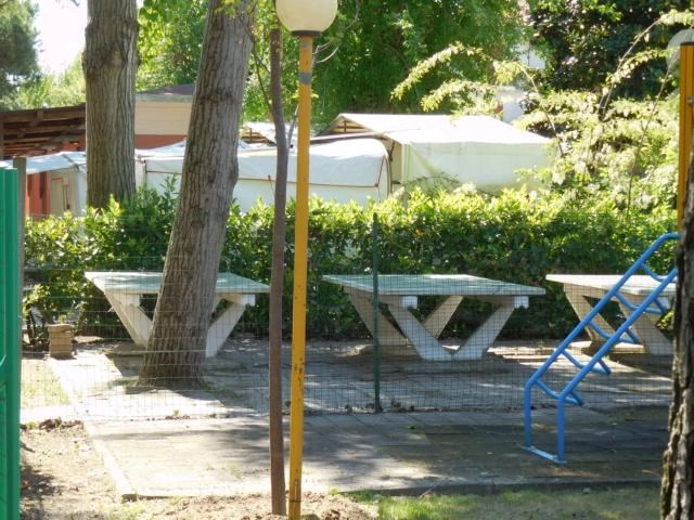 zobacz camping - zdjęcie 12