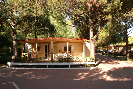 zobacz camping - zdjęcie 7