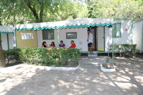 zobacz camping - zdjęcie 3