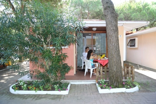 zobacz camping - zdjęcie 1