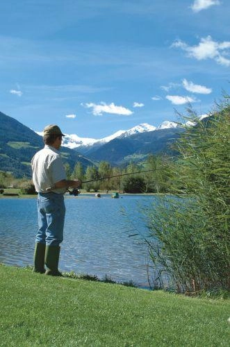 zobacz camping - zdjęcie 26