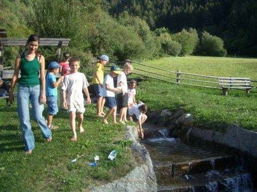 zobacz camping - zdjęcie 21