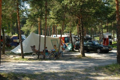 zobacz camping - zdjęcie 20