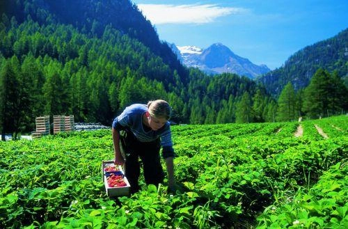 zobacz camping - zdjęcie 10