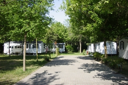 zobacz camping - zdjęcie 7