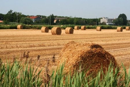 Camping Klaus - zdjęcie 4