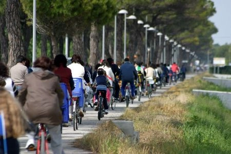 zobacz camping - zdjęcie 4