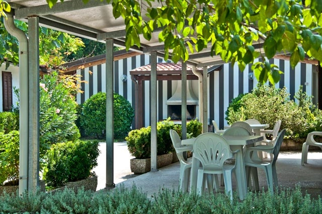 zobacz camping - zdjęcie 12