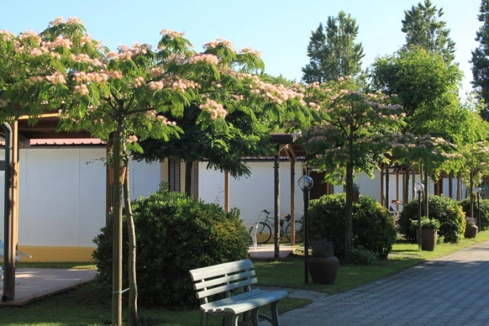 zobacz camping - zdjęcie 8