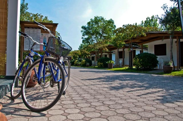 zobacz camping - zdjęcie 5