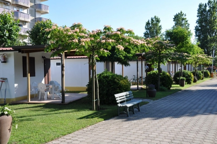 zobacz camping - zdjęcie 2