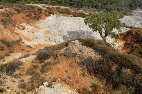 zobacz camping - zdjęcie 15