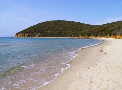 zobacz camping - zdjęcie 14