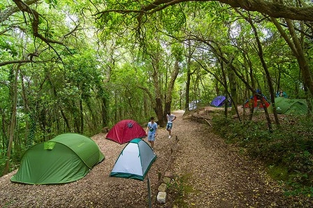 zobacz camping - zdjęcie 11